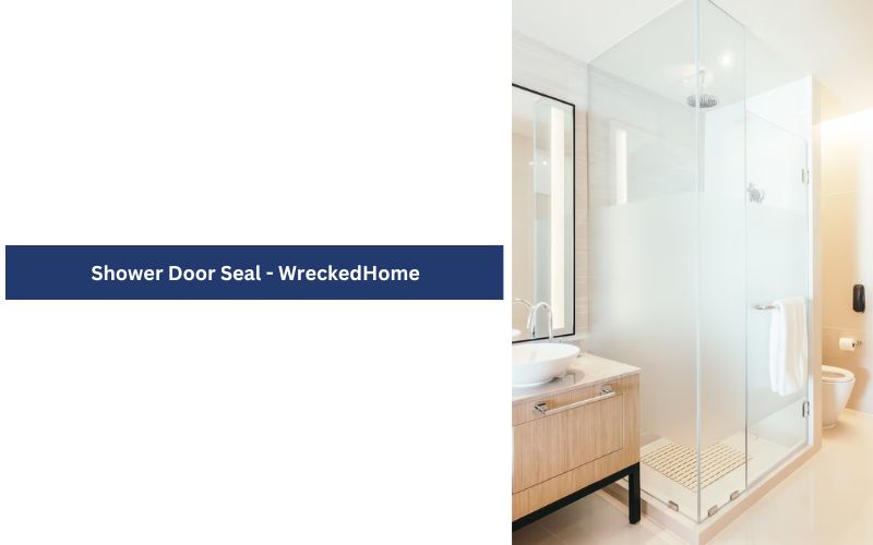 Shower Door Seal – How and When to Replace