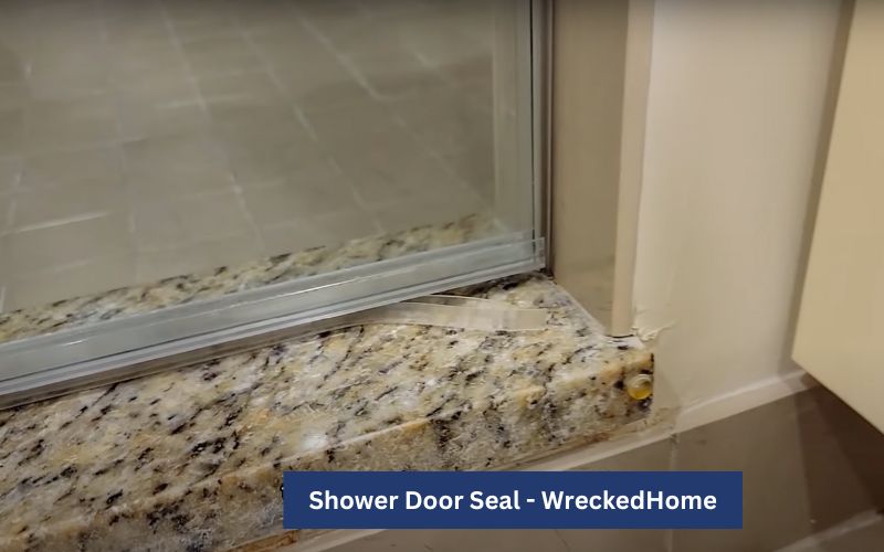 Shower Door Seal-2