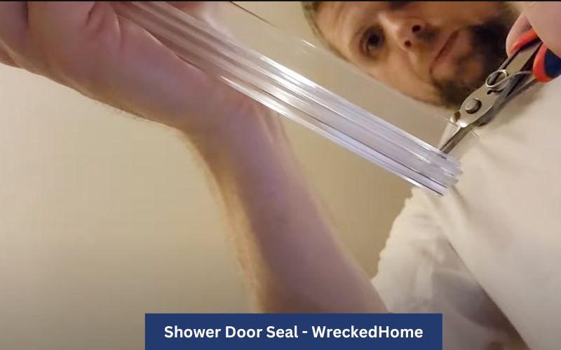 Shower Door Seal-3