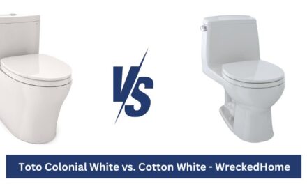 Toto Colonial White vs Cotton White: Which is Right?