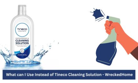 What can I Use Instead of Tineco Cleaning Solution