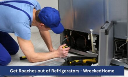 How to Get Roaches out of Refrigerator Motor? 9 Effective Ways to Do it!