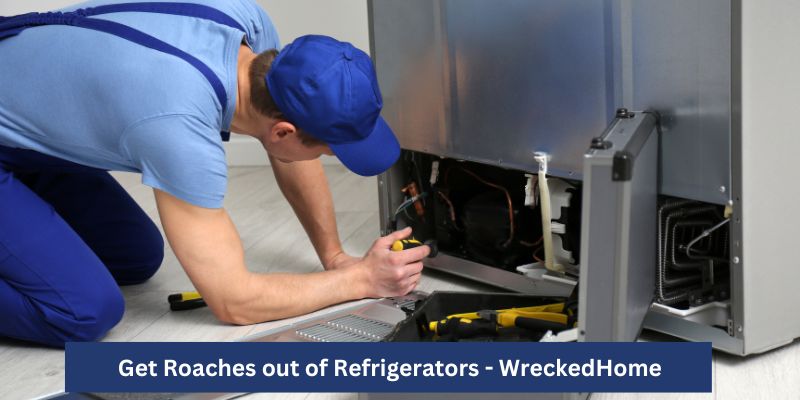 How to Get Roaches out of Refrigerator Motor? 9 Effective Ways to Do it!