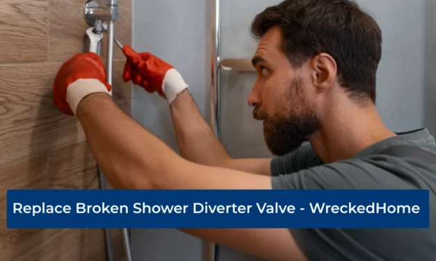 How to Replace a Broken Shower Diverter Valve