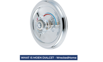 DIALCET: WHAT IS MOEN DIALCET, INSTALLATION AND REMOVAL