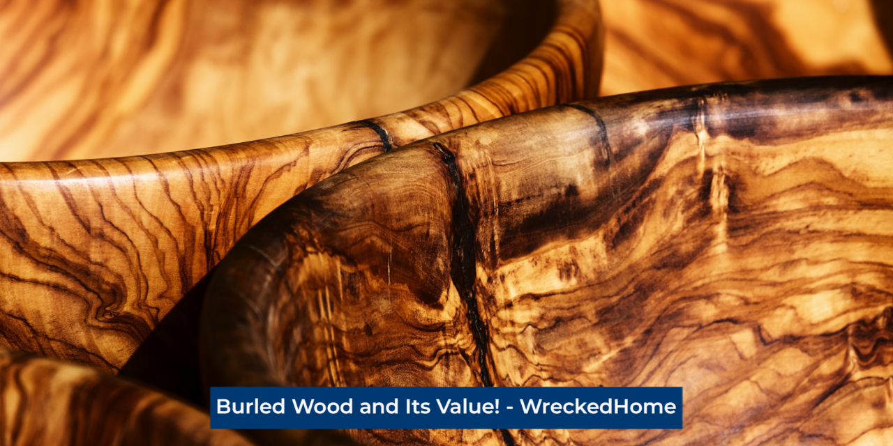 Burled Wood and Its Value!