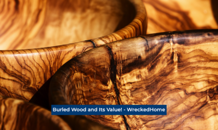 Burled Wood and Its Value!