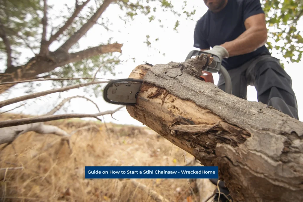 worker using Stihl Chainsaw to cut tree