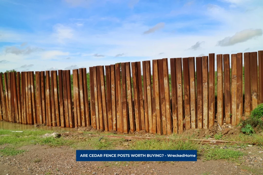 CEDAR FENCE POSTS