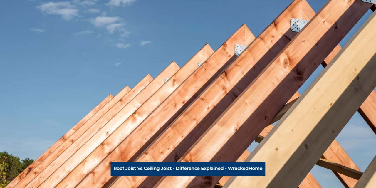 Roof Joist Vs Ceiling Joist – Difference Explained