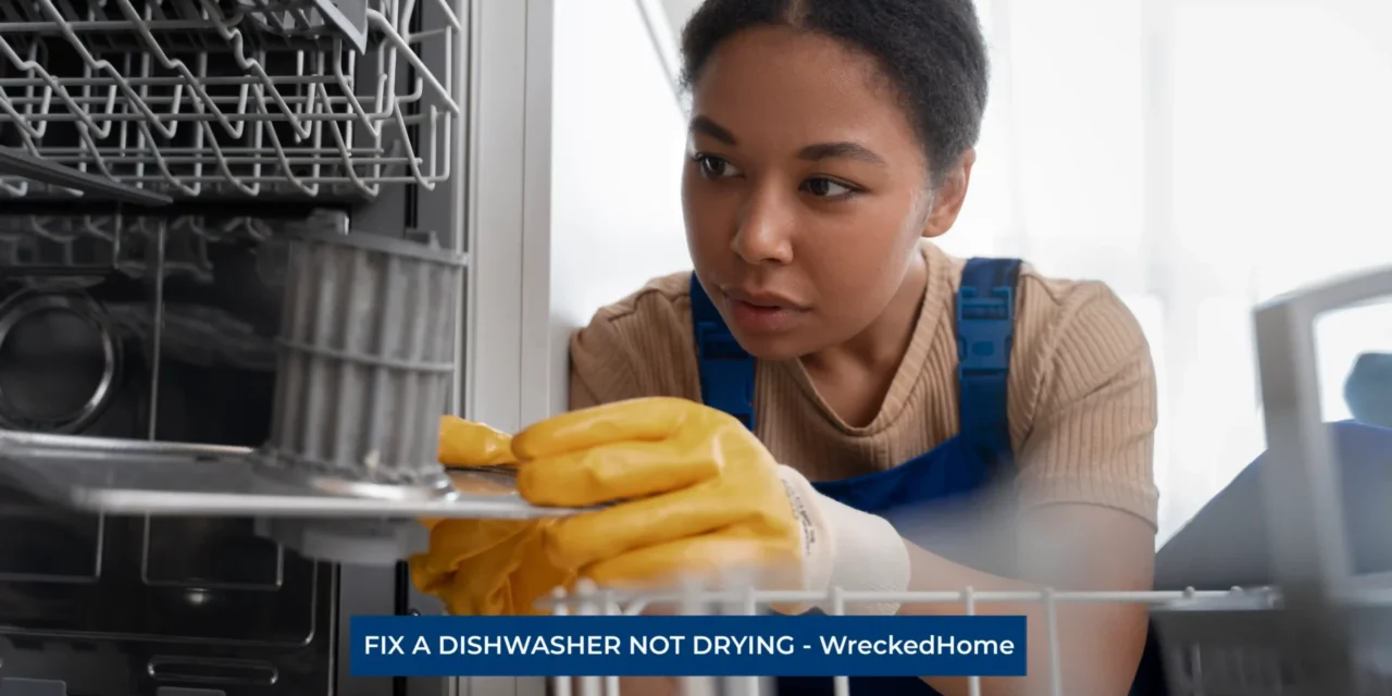 CONQUERING THE DISHWASHER NOT DRYING DILEMMA