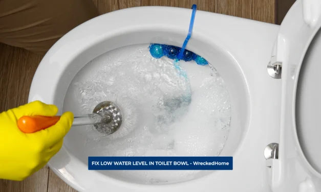 HOW TO FIX LOW WATER LEVEL IN TOILET BOWL