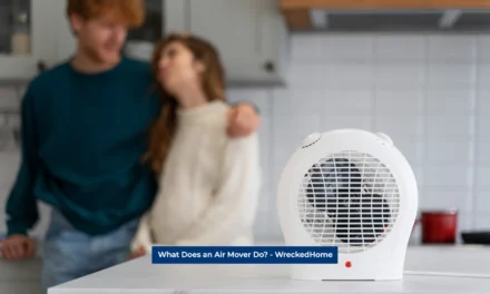 What Does an Air Mover Do?