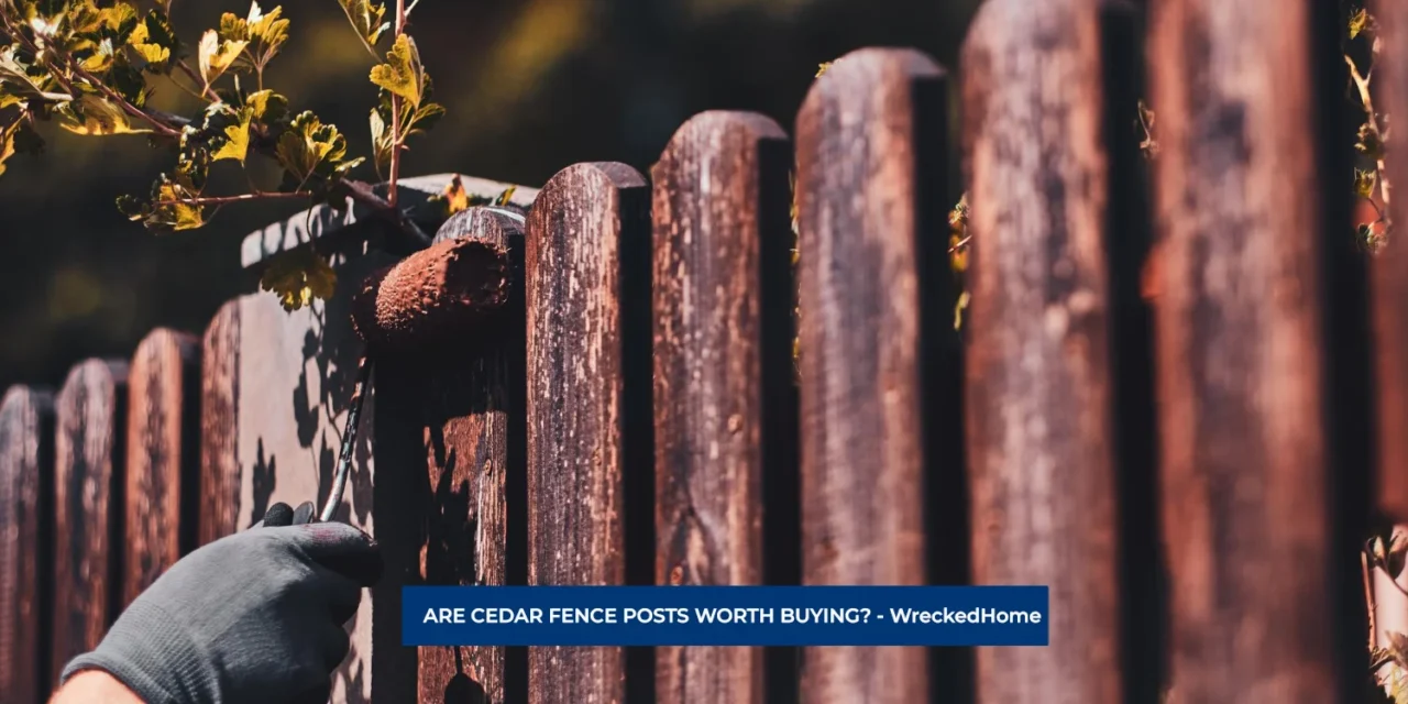 ARE CEDAR FENCE POSTS WORTH BUYING?