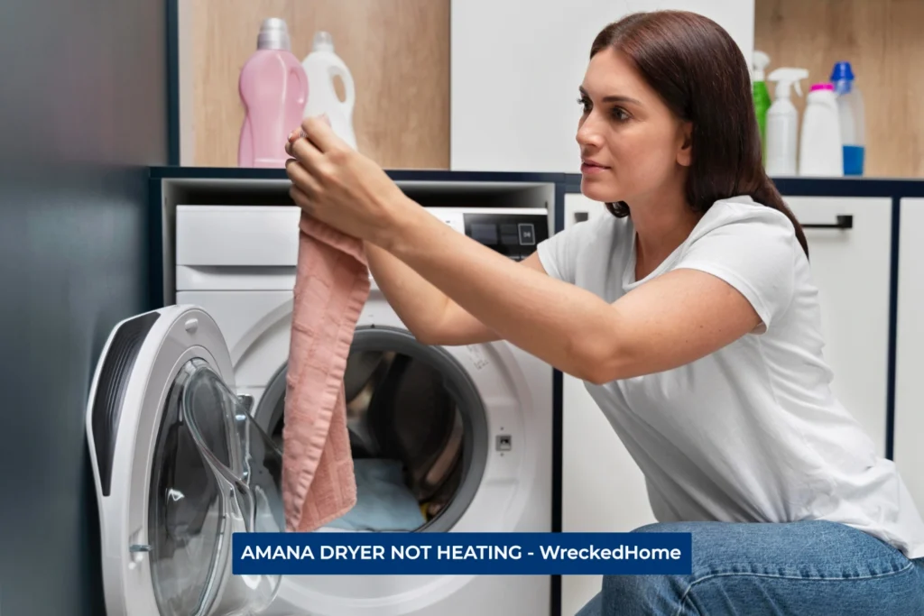 Woman drying cloth in a Amana Dryer