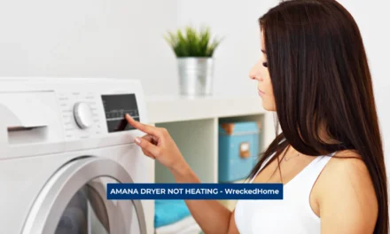 AMANA DRYER NOT HEATING UP? FIND SOLUTIONS NOW