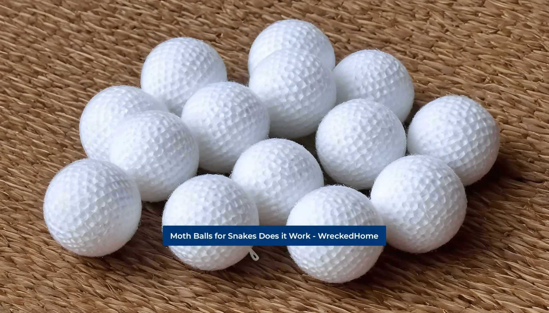 Moth Balls for Snakes Effective or Risky? 2023