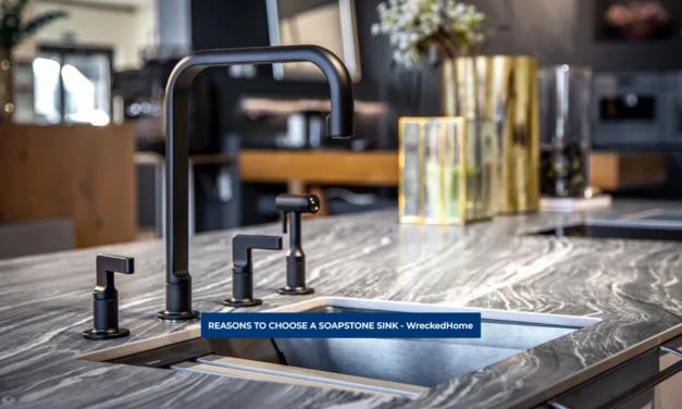 REASONS TO CHOOSE A SOAPSTONE SINK
