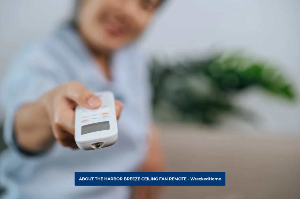 WOMAN POINTING HARBOR BREEZE CEILING FAN REMOTE AT THE CAMERA