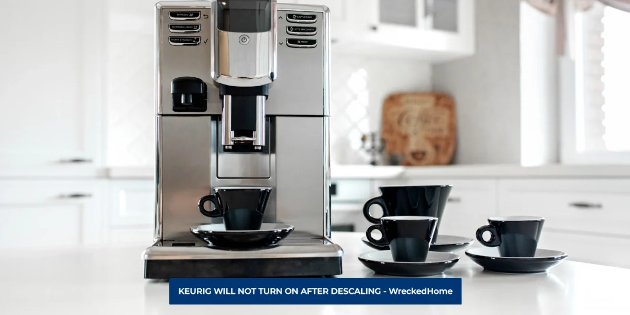 KEURIG WILL NOT TURN ON AFTER DESCALING: REASONS AND SOLUTIONS