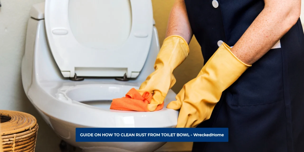 GUIDE ON HOW TO CLEAN RUST FROM TOILET BOWL