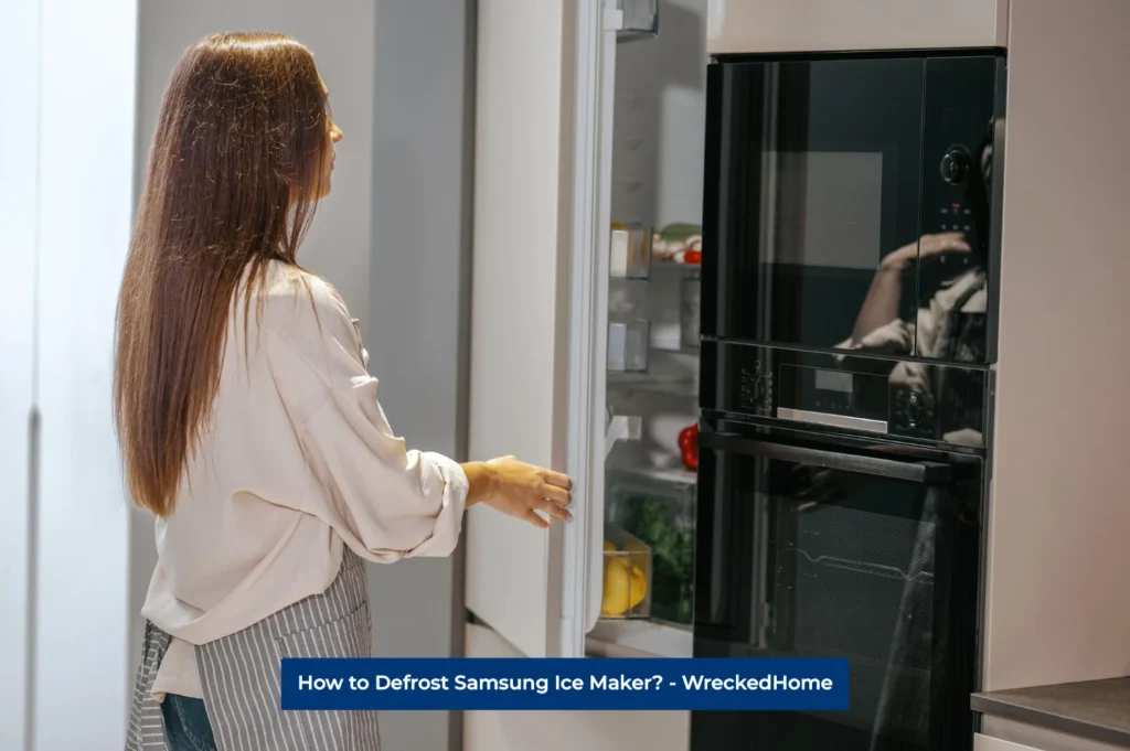 Woman opening the Samsung Ice Maker Door.