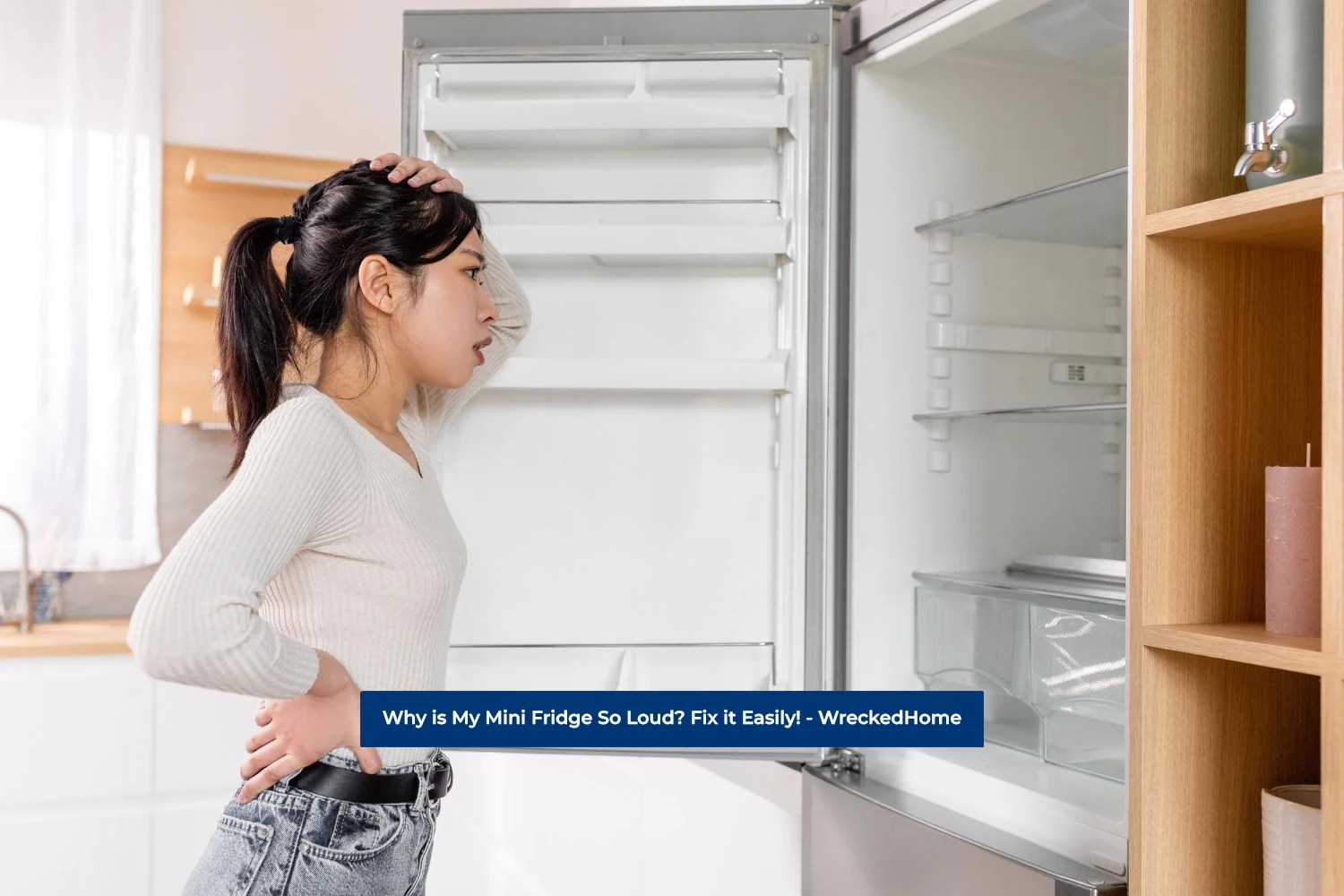 Why is My Mini Fridge So Loud? Ultimate Fixing Guide 2023
