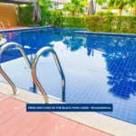PROS AND CONS OF THE BLACK POOL LINER