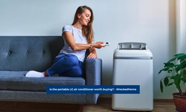 Is the portable LG air conditioner worth buying? Pros and cons